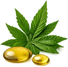 InnovaGoods — канабидиол (CBD)