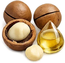 InnovaGoods — масло от макадамия