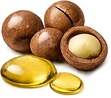 InnovaGoods — масло от макадамия